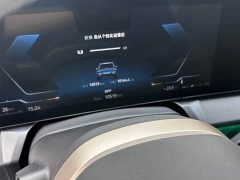 Tank X3 xDrive30L Version M - фото 9