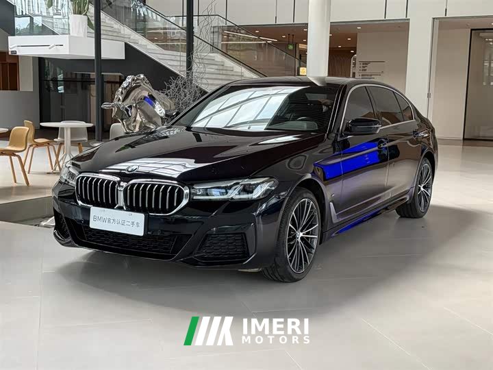 BMW 5 Series 530Li leading M sports package - автомобиль из Китая