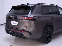 Tank Pro 450TSI AWD Edition - фото 8