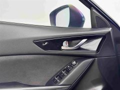Tank CX-4 2.0L 2WD Edition - фото 13