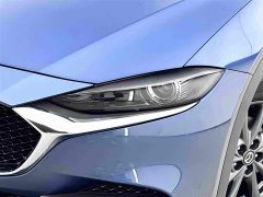 Tank CX-4 2.0L 2WD Edition - фото 14