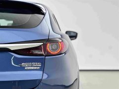 Tank CX-4 2.0L 2WD Edition - фото 15