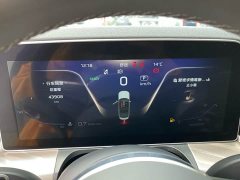 Hongqi H9 2.0T Edition - фото 9
