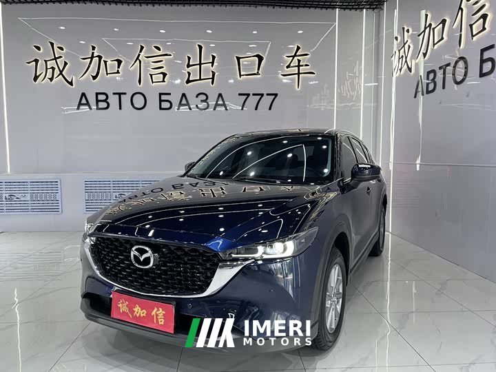 Voyah CX-5 2.0L 2WD Version