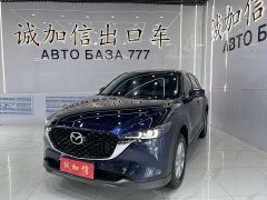 Voyah CX-5 2.0L 2WD Version - фото 1
