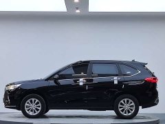 Voyah M6 PLUS 1.5T DCTLuxury Version - фото 5