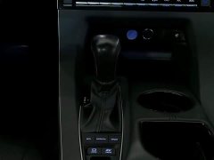 Toyota Avalon 2019 Hybrid 2.5L Luxury Edition China VI - фото 13
