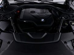 BMW 7 Series 2019 730Li Luxury Package - фото 17