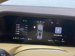 Voyah M7 1.5T Smart DriveAWDMax Edition 6 - фото 14