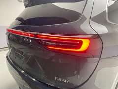 Voyah M7 1.5T Smart DriveAWDMax Edition 6 - фото 9