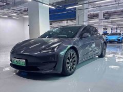 Tesla Model 3 Rear-Wheel Drive - фото 1