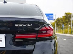 BMW 5 Series Facelift II 530Li Luxury M Sport Package - фото 6