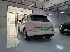 Voyah 400kmStandard Range Edition - фото 9