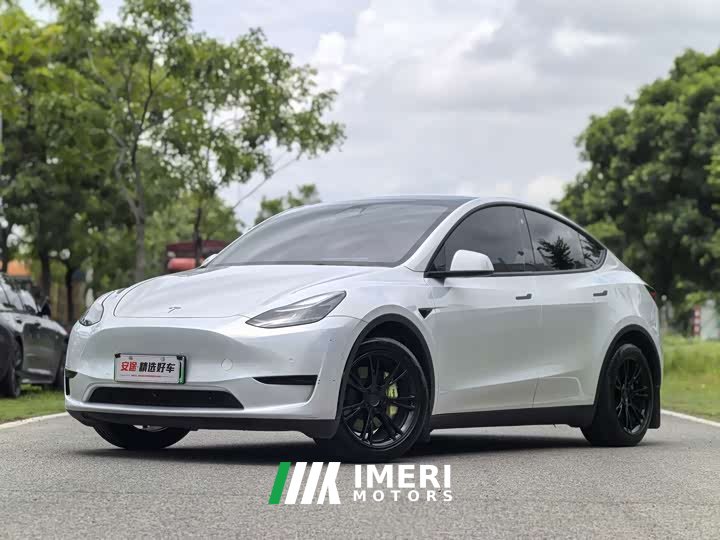 Tesla Model Y rear-wheel drive version