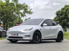 Tesla Model Y rear-wheel drive version - фото 1