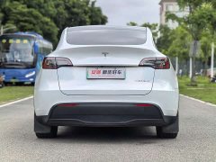 Tesla Model Y rear-wheel drive version - фото 4