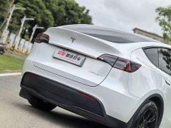 Tesla Model Y rear-wheel drive version - фото 6