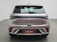 BYD Dolphin 420km Fashion Edition - фото 4