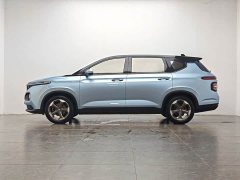 Voyah RM-5 1.5T CVT 24 Version 7 - фото 10