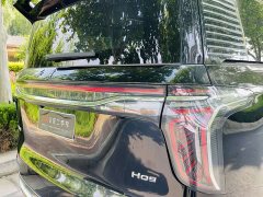 Hongqi HQ9 2.0T Edition - фото 20