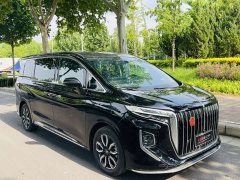 Hongqi HQ9 2.0T Edition - фото 3
