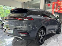 BYD Tangxin Energy 2021 DM-i 112KM Honor Type - фото 18
