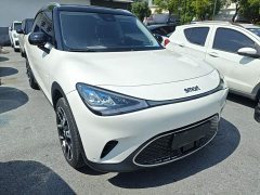 smart#1 Pulse Edition - фото 4