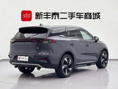 BYD Tangxin Energy DM-i Champion Edition 112KM Premium Type - фото 5