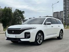 Baojun Valli 2021 1.5T Naquxing CVT flagship - фото 1