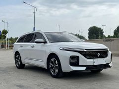 Baojun Valli 2021 1.5T Naquxing CVT flagship - фото 3