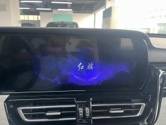 Hongqi HS5 2.0T AWDPro Edition - фото 10