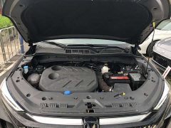 Tank X7 PLUS 1.5T Version 7 - фото 6
