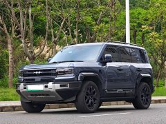 Voyah Leopard 5 2023 Yunni Flagship Edition - фото 1