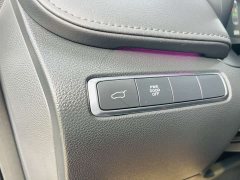 Hongqi HQ9 2.0T Edition - фото 10