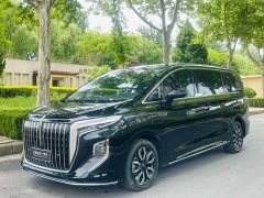 Hongqi HQ9 2.0T Edition - фото 1