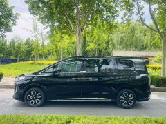 Hongqi HQ9 2.0T Edition - фото 16