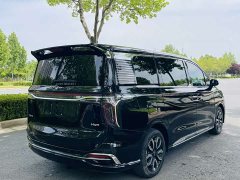 Hongqi HQ9 2.0T Edition - фото 19
