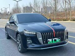 Hongqi H5 PHEV 170 Edition - фото 3