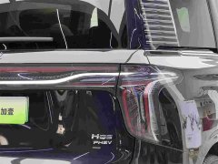 Hongqi HQ9 PHEV 2.0T AWDBusiness Edition - фото 15