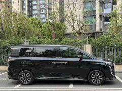 Hongqi HQ9 2.0T Edition - фото 4