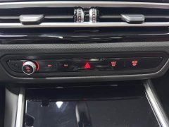 BMW 3 Series 320Li M Sports Package - фото 18