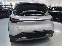 smart Elf #1 2022 Premium Edition - фото 6