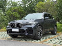 BMW X5 (Imported) xDrive30i M Sports Package - фото 1