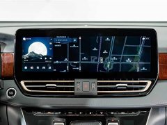 Hongqi HQ9 PHEV 2.0T AWDLuxury Edition - фото 15