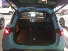 smart Elf #1 2022 Premium Edition - фото 19