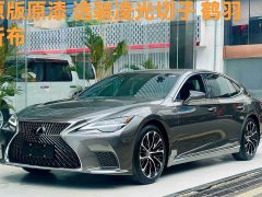 Voyah LS 500h Edition - фото 1