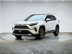 Toyota RAV4 2.0L CVT2WDPlus Edition - фото 1