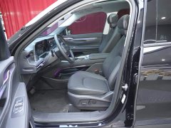 Tank L 2.0T EcoBoost 2WDFashion Version - фото 11