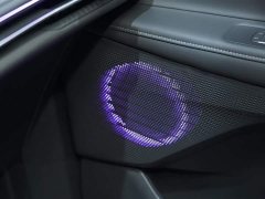 Tank L 2.0T EcoBoost 2WDFashion Version - фото 18