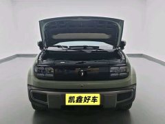 Neta Plus 301kmFlagship Edition - фото 10